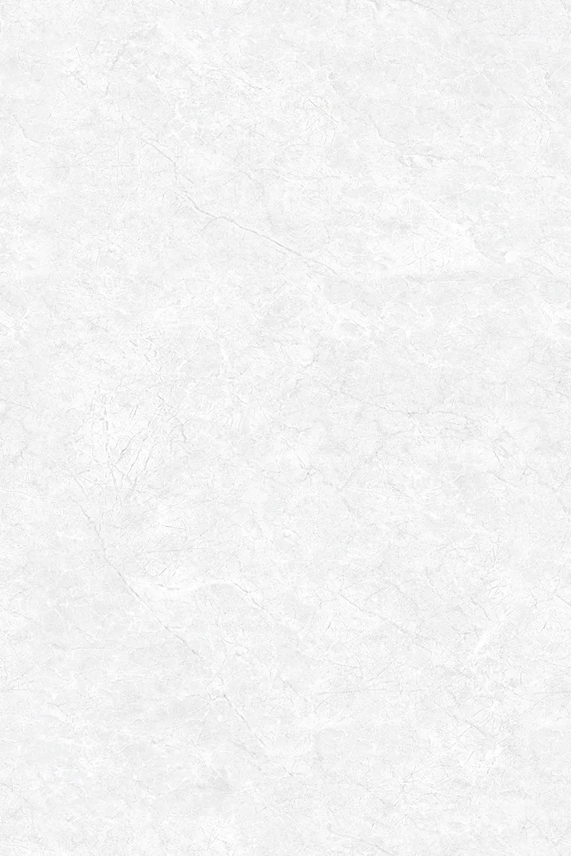 Glossy Finish ANJC-324816 PGVT 800x1200mm