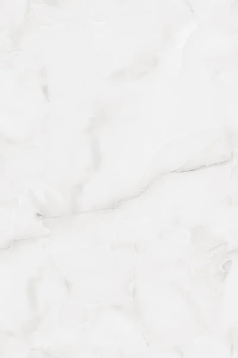 Glossy Finish ANJC-324817 PGVT 800x1200mm