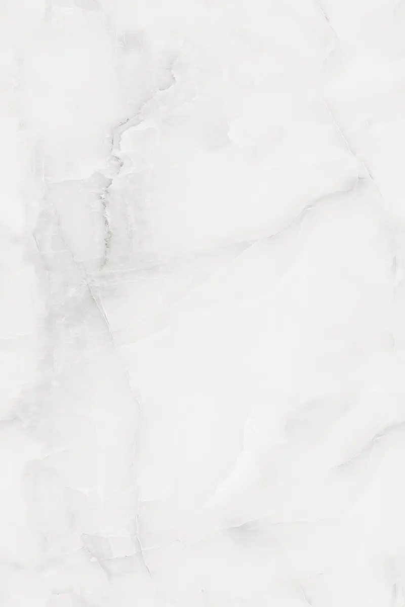 Glossy Finish ANJC-324817 PGVT 800x1200mm