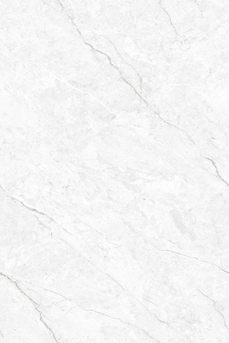 Glossy Finish EL Authentic Bianco  PGVT 800x1200mm