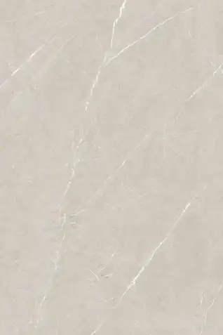 Glossy Finish President Taupe  800x1200mm
