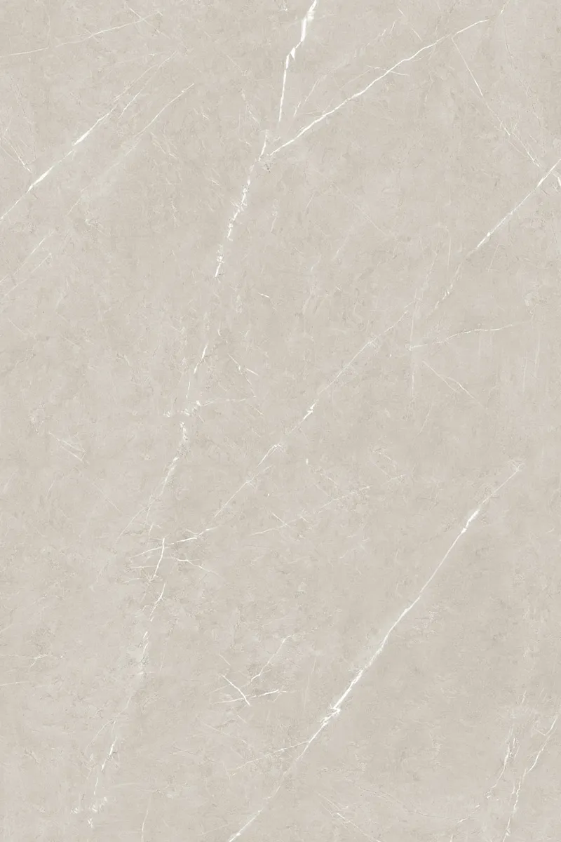 Glossy Finish President Taupe  800x1200mm