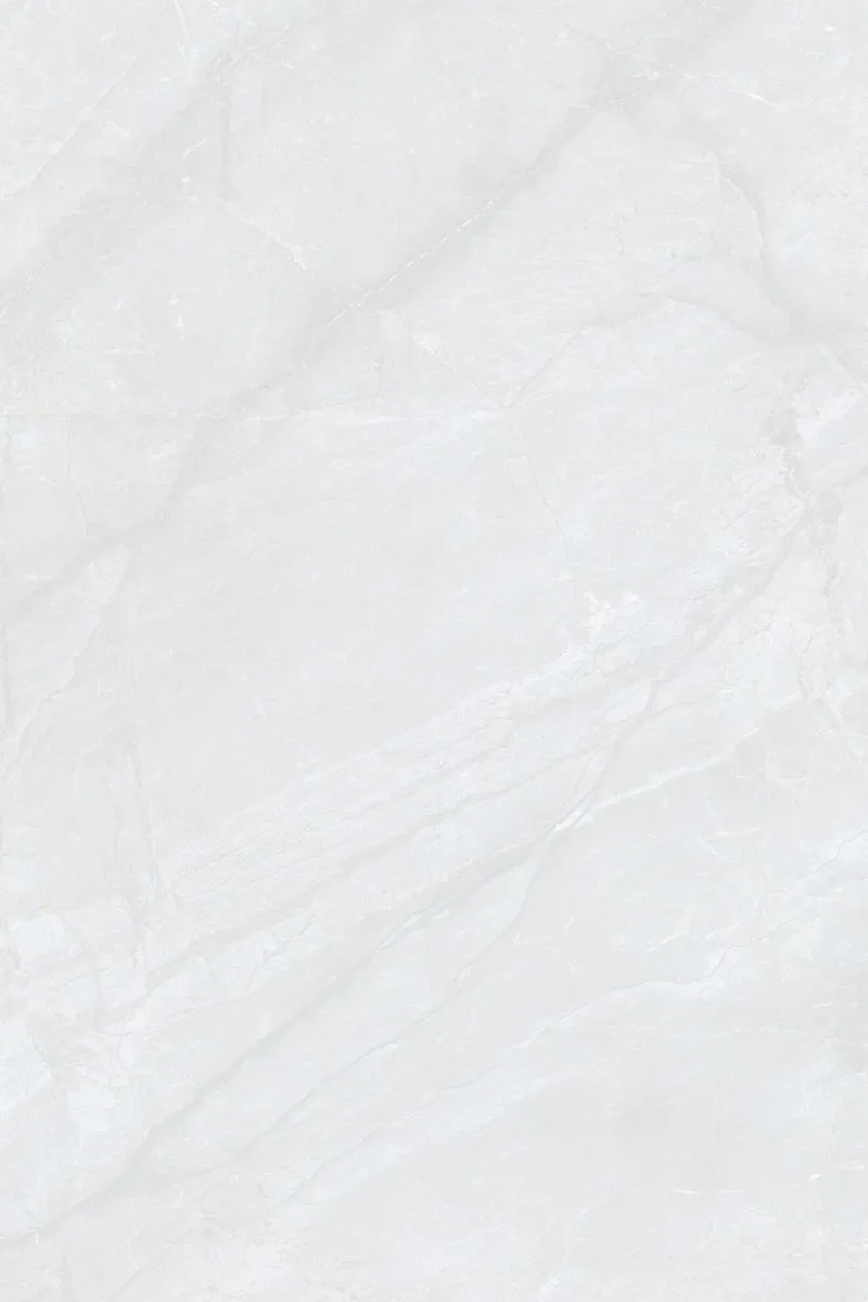 Glossy Finish DinovaBianco PGVT 800x1200mm