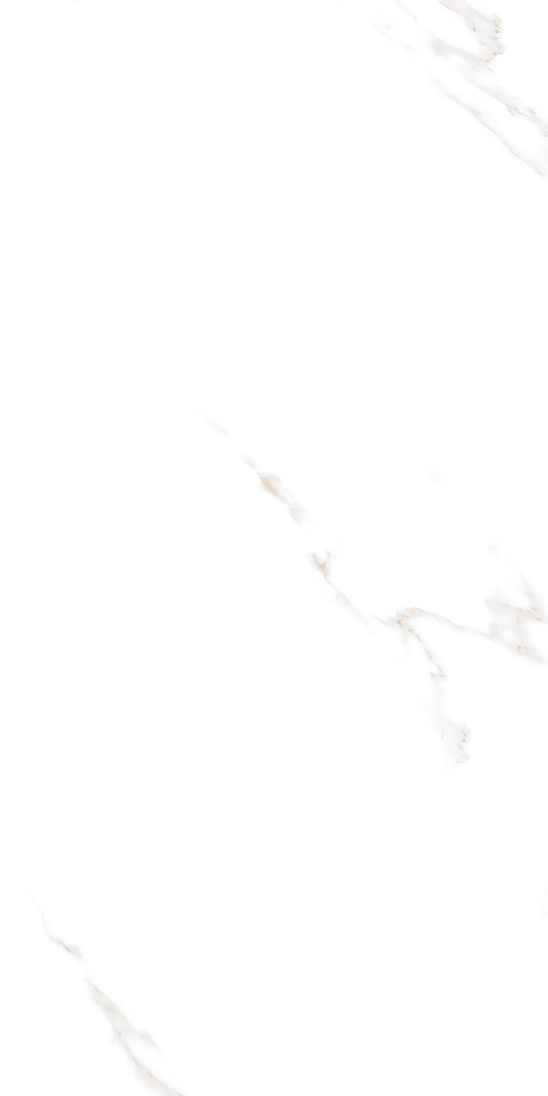 Glossy Finish Bianco Stone(800x1600) PGVT 800x1600mm