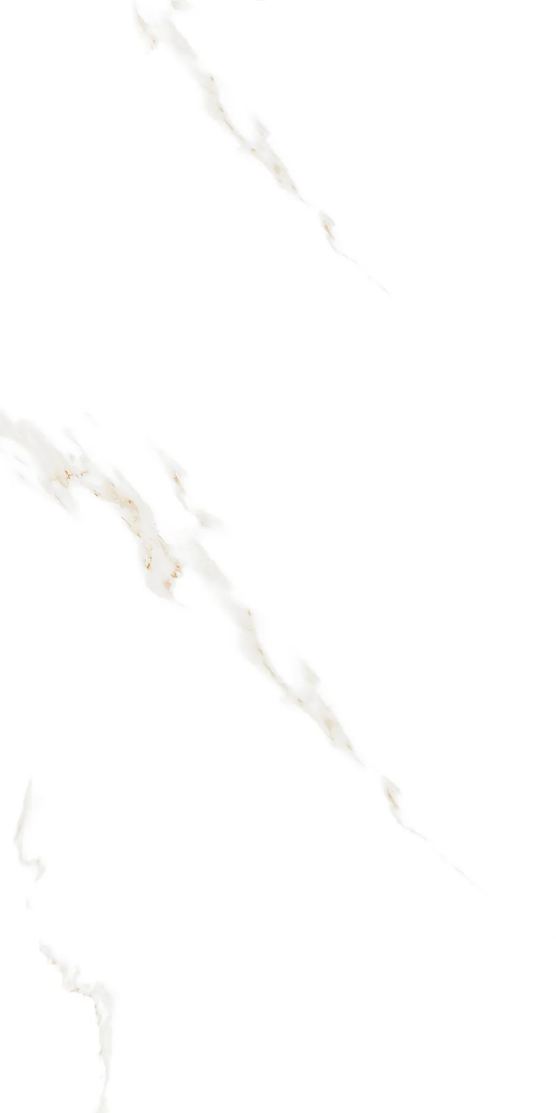 Glossy Finish Bianco Stone(800x1600) PGVT 800x1600mm