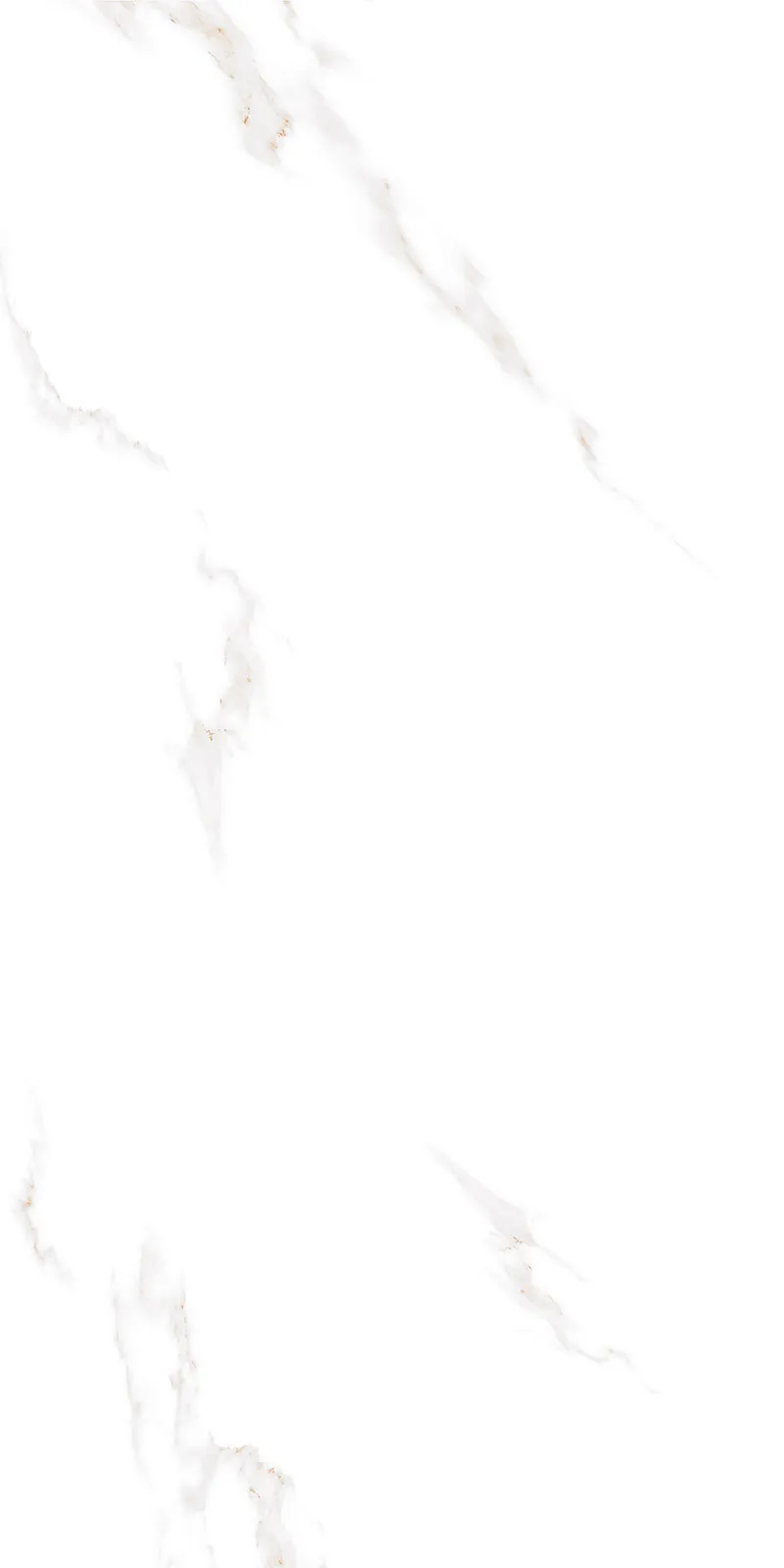 Glossy Finish Bianco Stone(800x1600) PGVT 800x1600mm