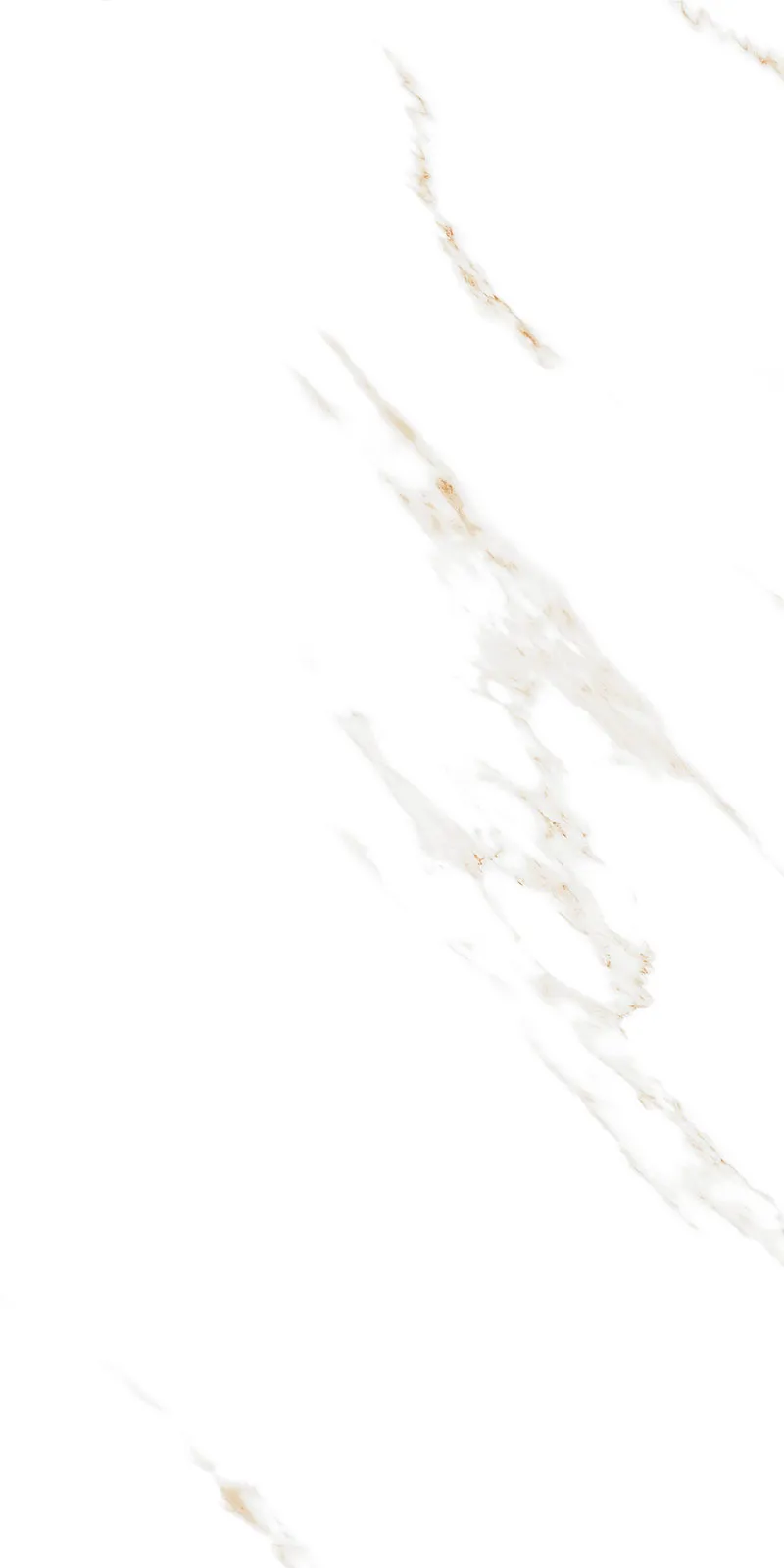 Glossy Finish Bianco Stone(800x1600) PGVT 800x1600mm