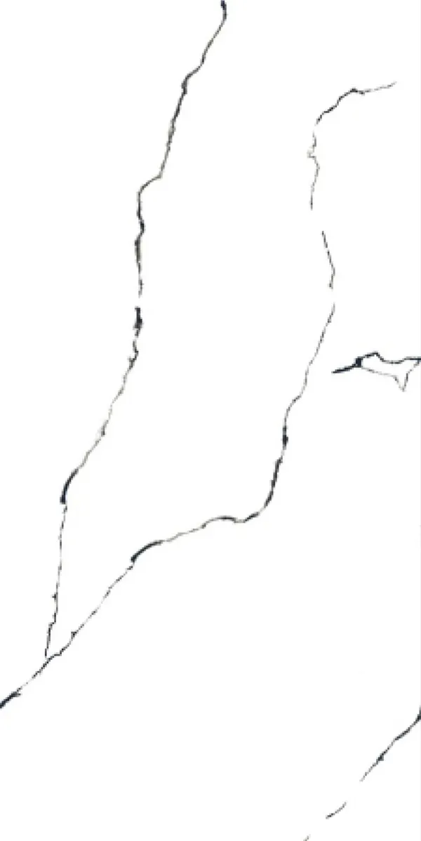 Glossy Finish Black Panther PGVT 600x1200mm