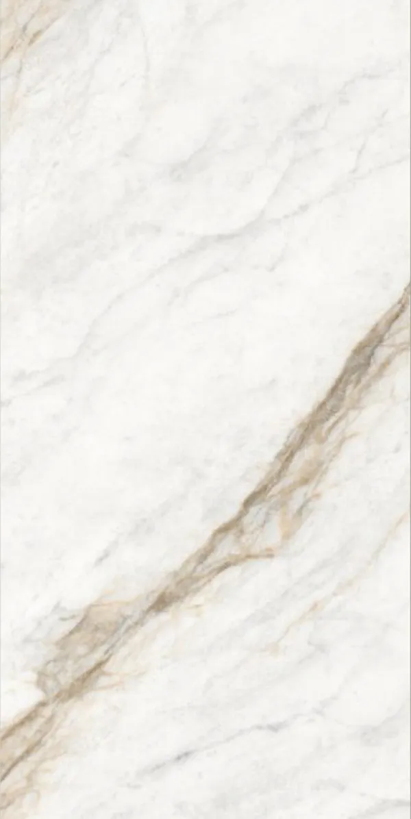 Glossy Finish Borghini Brown PGVT 600x1200mm