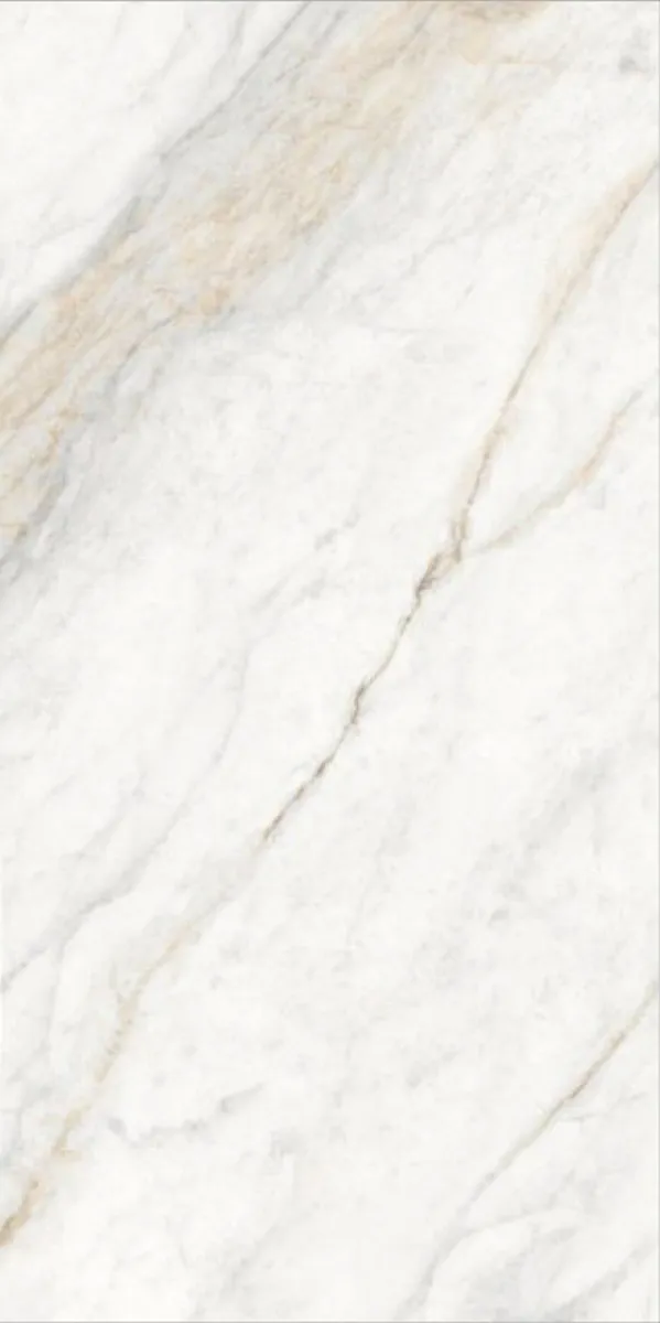 Glossy Finish Borghini Brown PGVT 600x1200mm