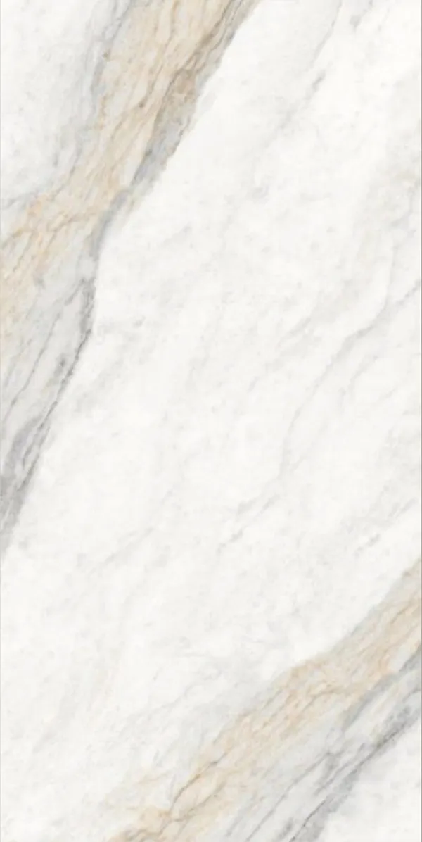 Glossy Finish Borghini Brown PGVT 600x1200mm