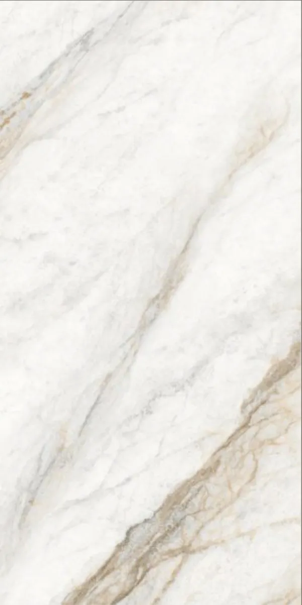 Glossy Finish Borghini Brown PGVT 600x1200mm