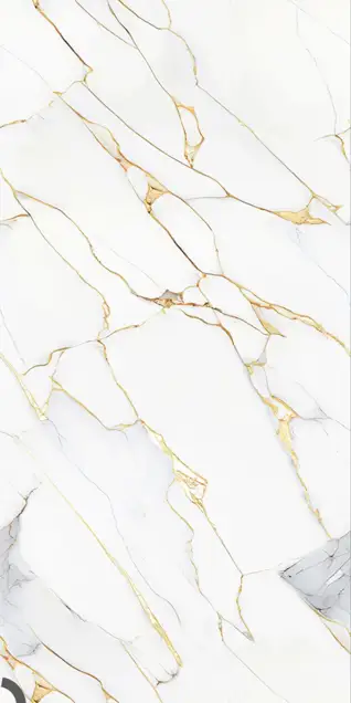 Glossy Finish Calacatta Gold  600x1200mm