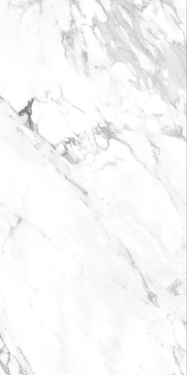 Glossy Finish Capricon Silver PGVT 600x1200mm