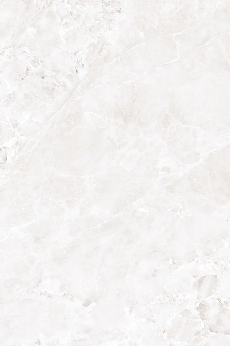 Glossy Finish Castano Bianco  PGVT 800x1200mm