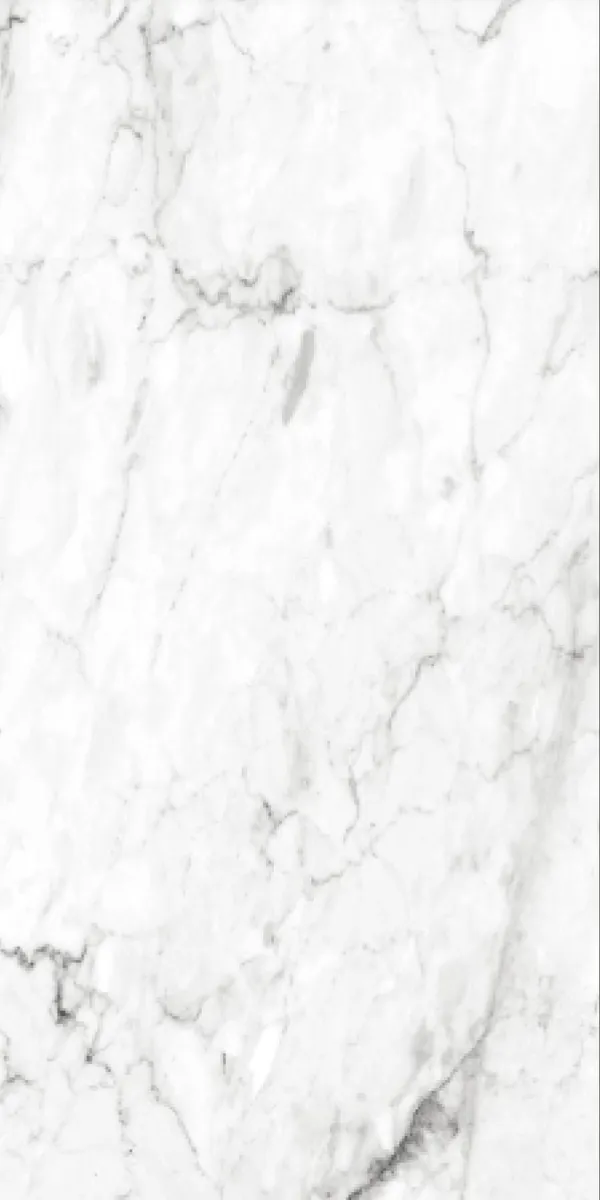 Glossy Finish Cera White  PGVT 600x1200mm