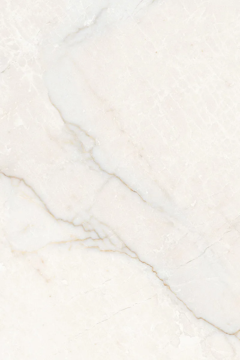 Glossy Finish Clinker Gray PGVT 800x1200mm