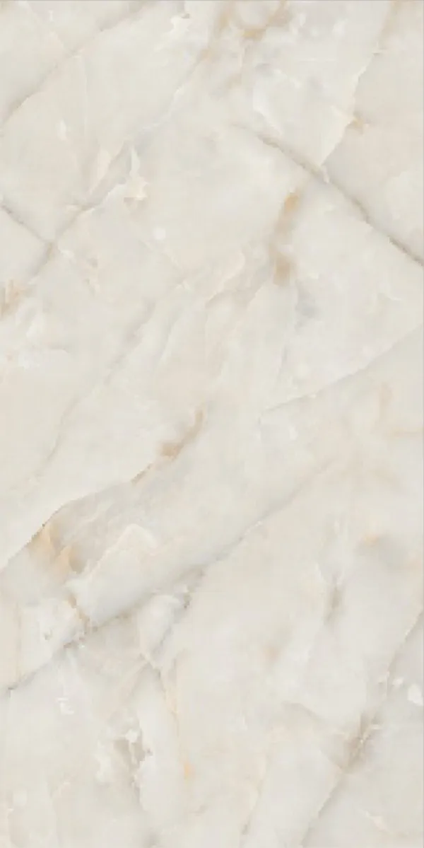 Glossy Finish Coco Onyx PGVT 600x1200mm