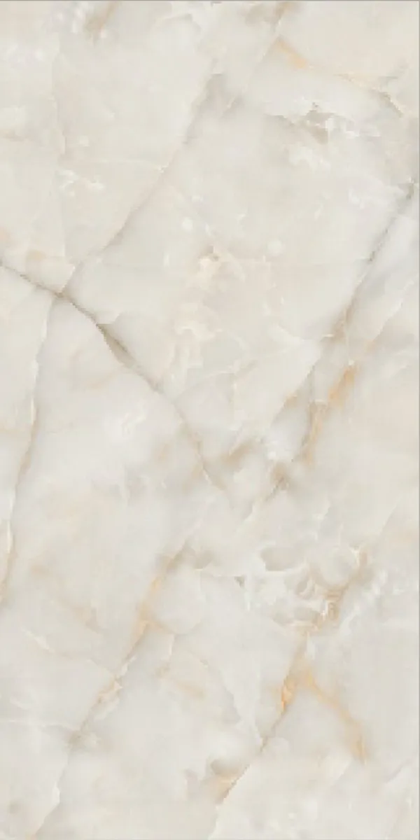 Glossy Finish Coco Onyx PGVT 600x1200mm