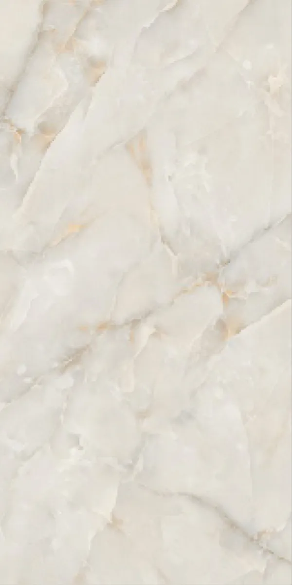 Glossy Finish Coco Onyx PGVT 600x1200mm