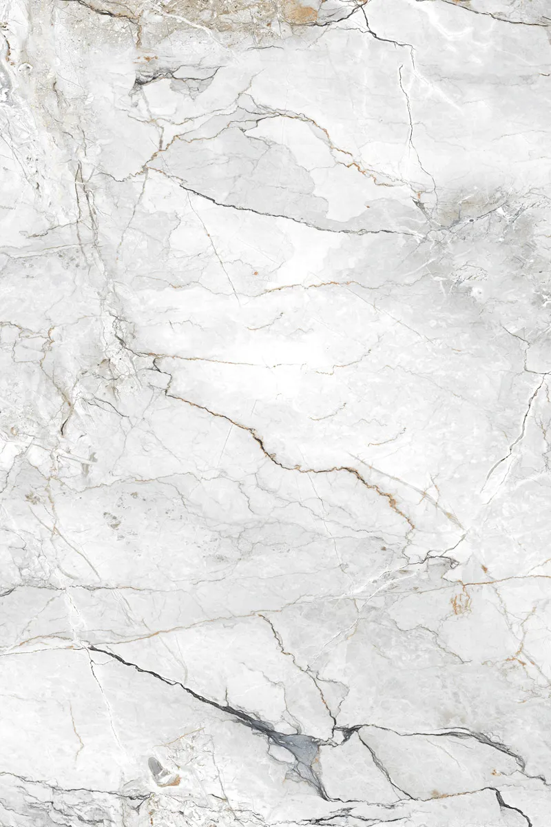 Glossy Finish Coralito Silver PGVT 800x1200mm