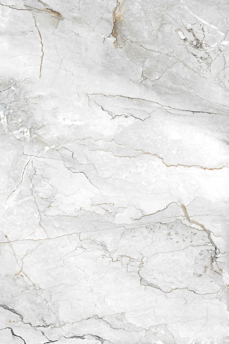 Glossy Finish Coralito Silver PGVT 800x1200mm