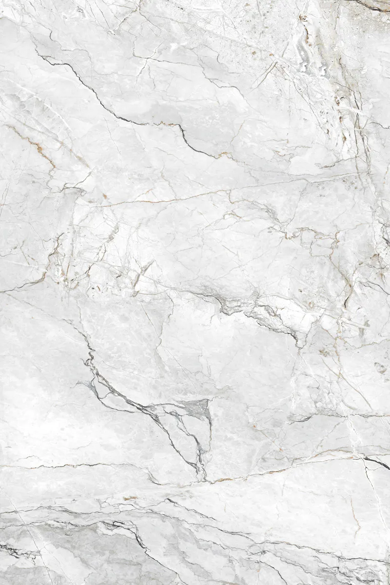 Glossy Finish Coralito Silver PGVT 800x1200mm