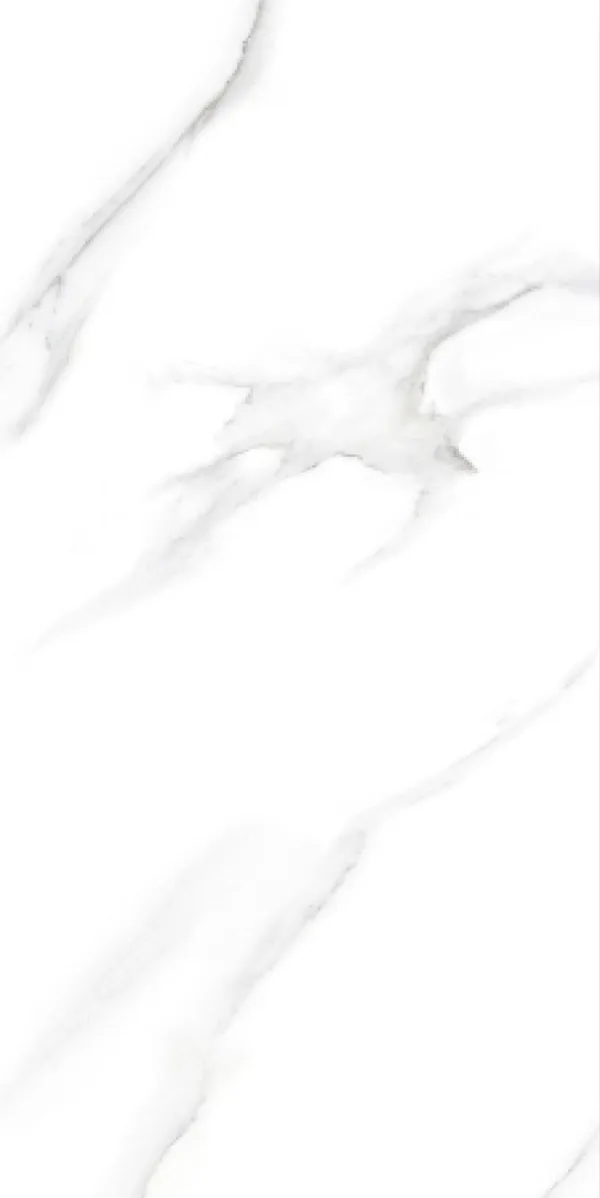 Glossy Finish Cotto Arezzo PGVT 600x1200mm