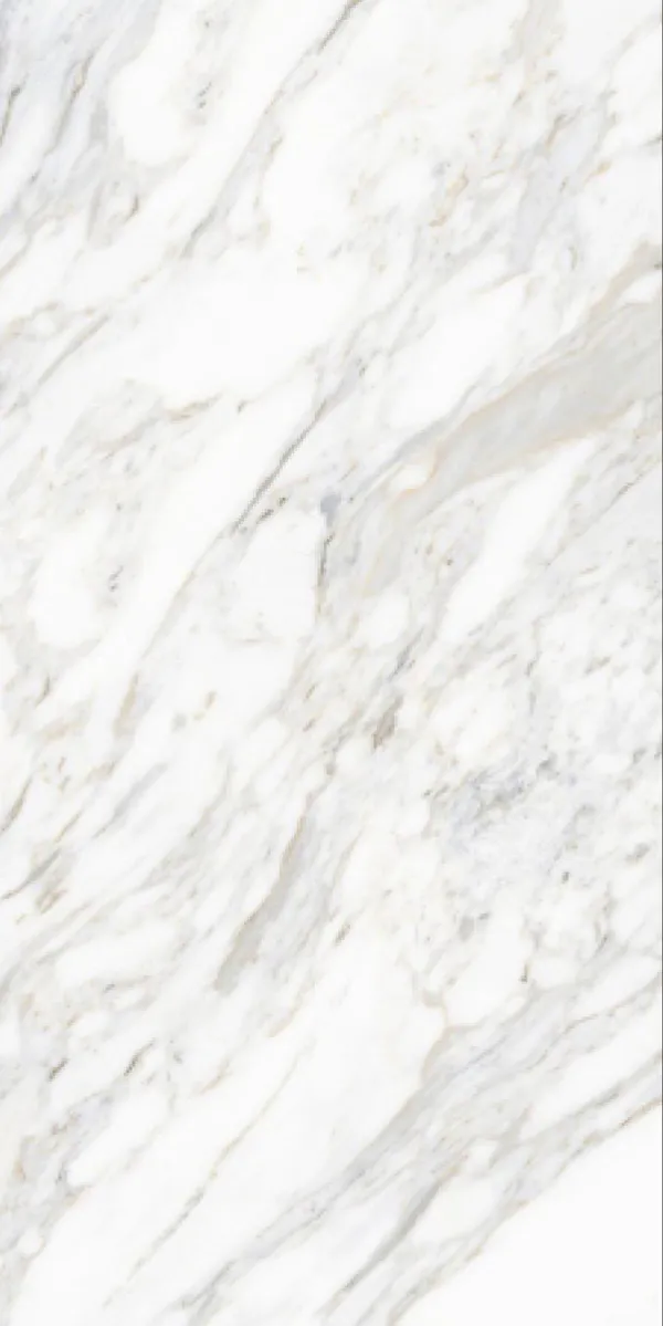 Glossy Finish Cruto Statuario Grey PGVT 600x1200mm