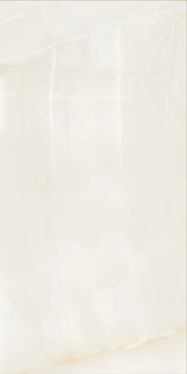 Glossy Finish Dignify Onyx PGVT 600x1200mm