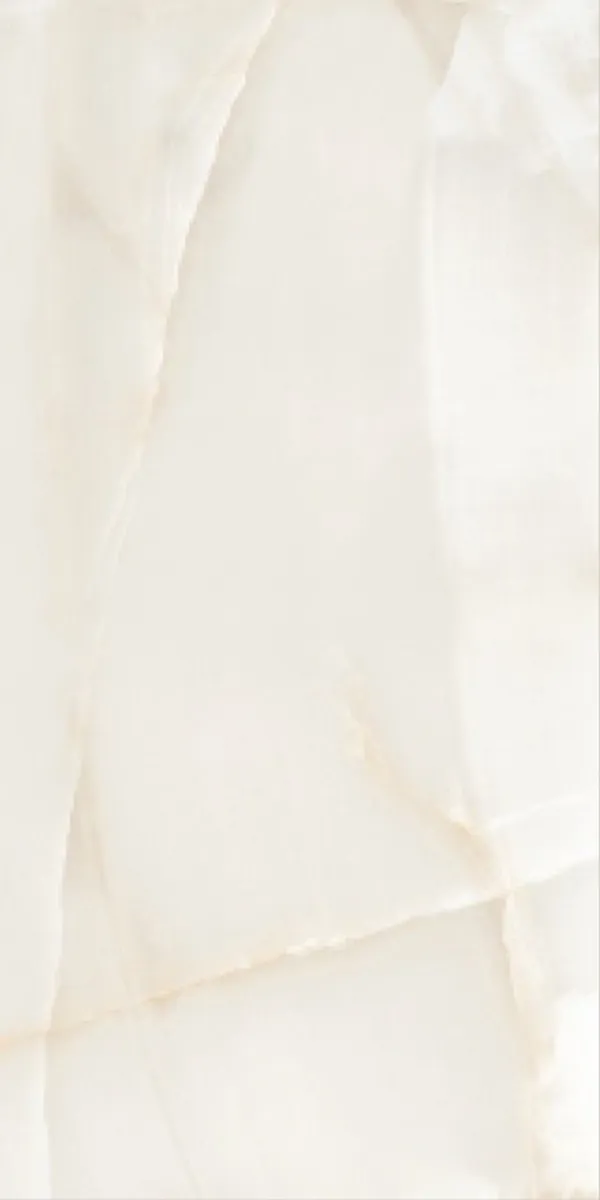 Glossy Finish Dignify Onyx PGVT 600x1200mm