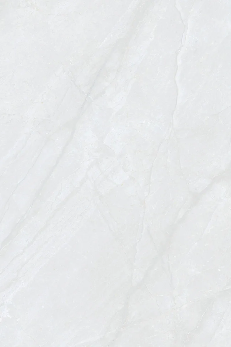 Glossy Finish DinovaBianco PGVT 800x1200mm