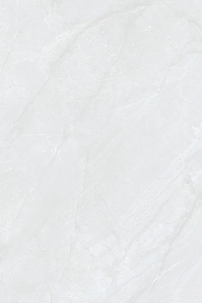 Glossy Finish DinovaBianco PGVT 800x1200mm