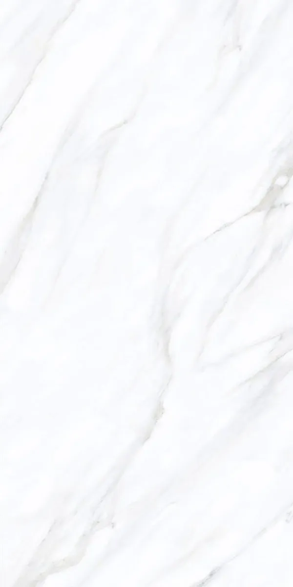 Glossy Finish Eden Satuario PGVT 600x1200mm