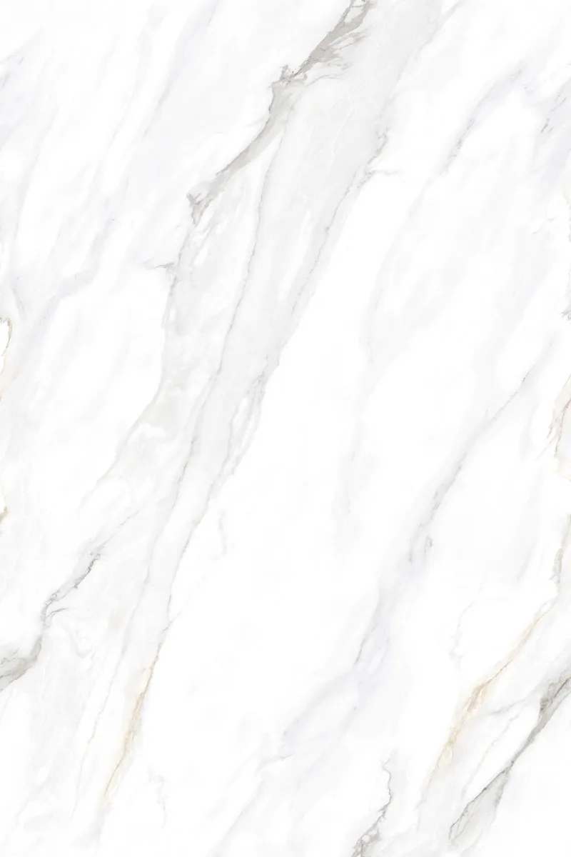 Glossy Finish EL Calacatta Borghini PGVT 800x1200mm