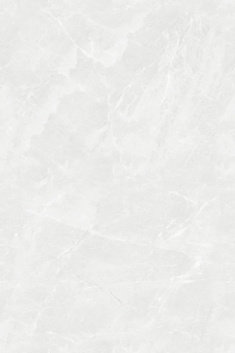 Glossy Finish EL Ford White PGVT 800x1200mm