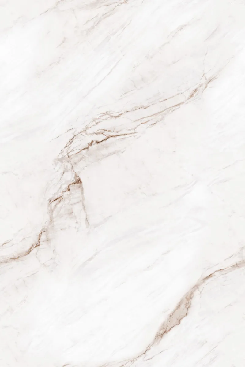 Glossy Finish EL Micheal Angelo PGVT 800x1200mm