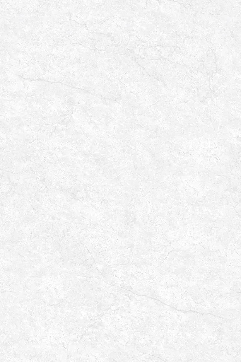 Glossy Finish EL Oyster Bianco PGVT 800x1200mm