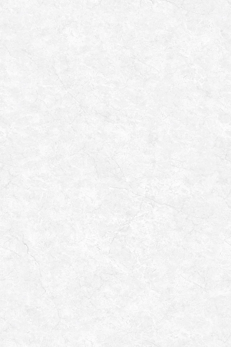 Glossy Finish EL Oyster Bianco PGVT 800x1200mm