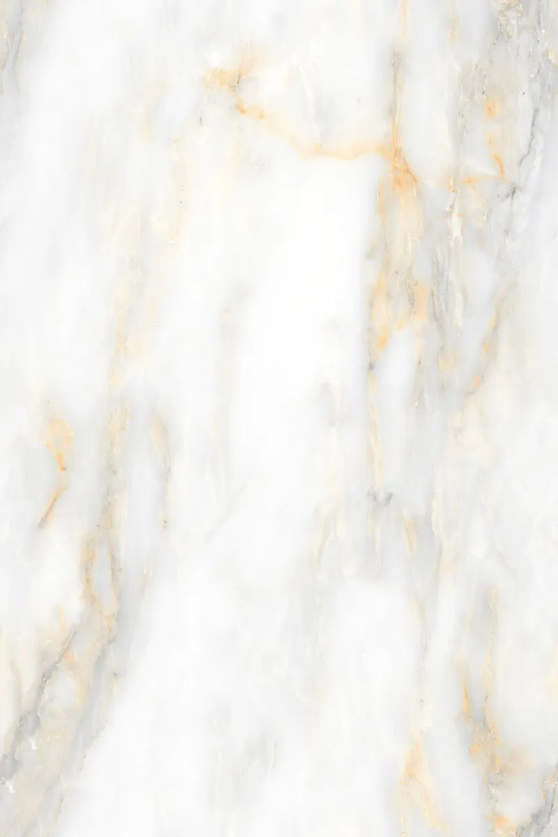 Glossy Finish EL Paras Stone PGVT 800x1200mm