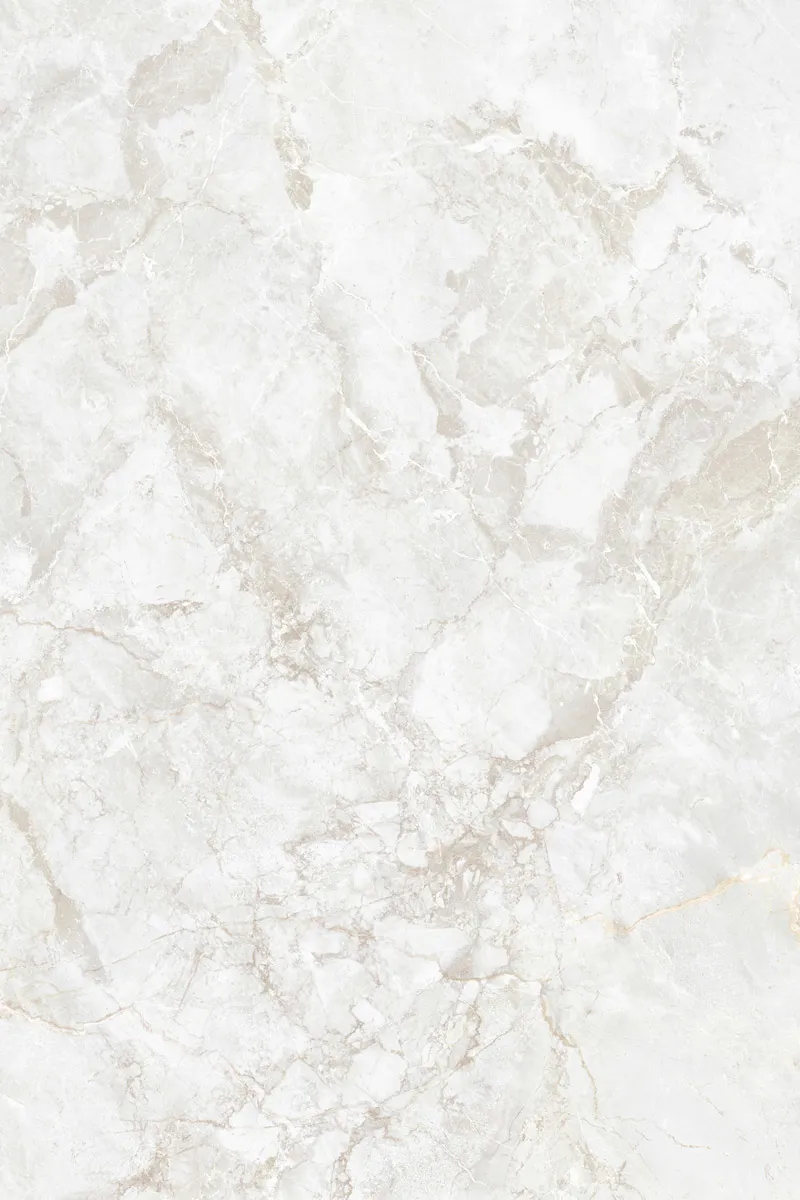 Glossy Finish Elias Bianco PGVT 800x1200mm