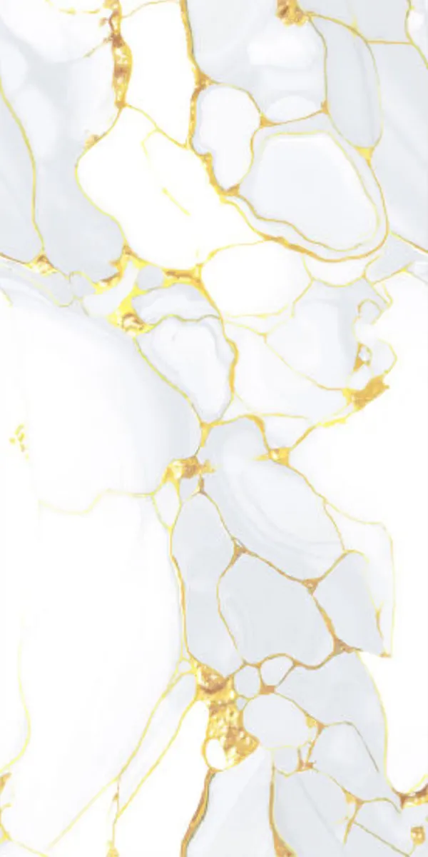 Glossy Finish EM LEQUAD WHITE PGVT 600x1200mm