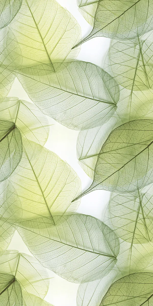 Glossy Finish GREEN LEAF(1230X630) PGVT 600x1200mm