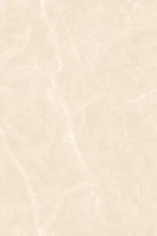 Glossy Finish Evolic Brown 1200x1800mm