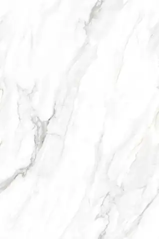 Glossy Finish EL Calacatta Borghini 800x1200mm