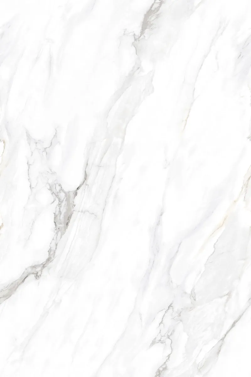 Glossy Finish EL Calacatta Borghini PGVT 800x1200mm