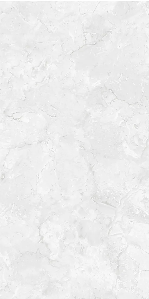 Glossy Finish Enrich Gris PGVT 600x1200mm