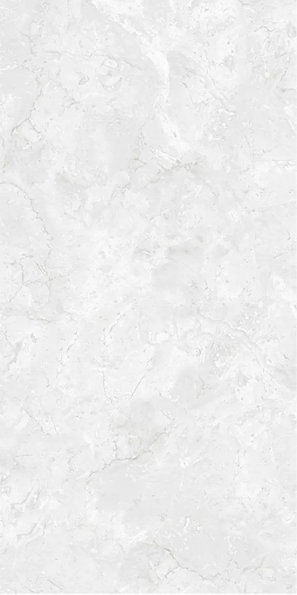 Glossy Finish Enrich Gris PGVT 600x1200mm