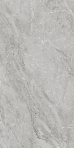 Glossy Finish Eracco Grey  600x1200mm