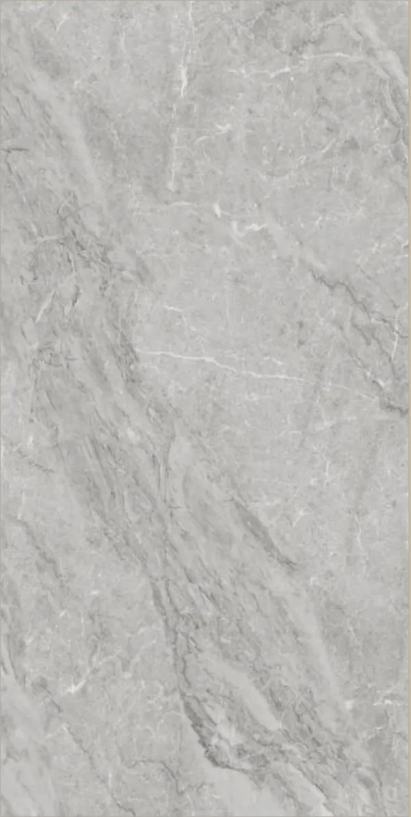 Glossy Finish Eracco Grey  600x1200mm